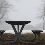 Picnic Table