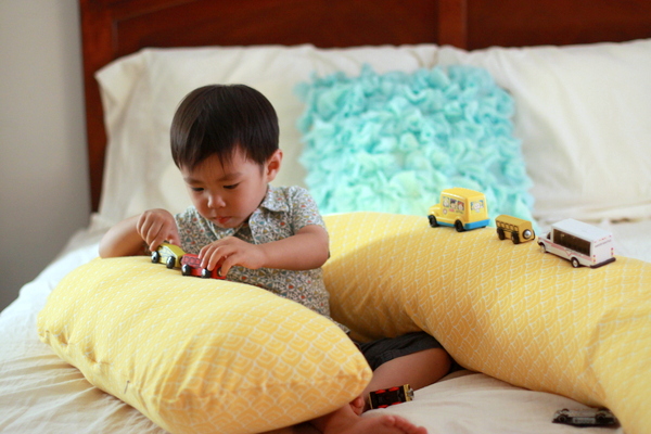 The Pregnancy Pillow SandyALaMode
