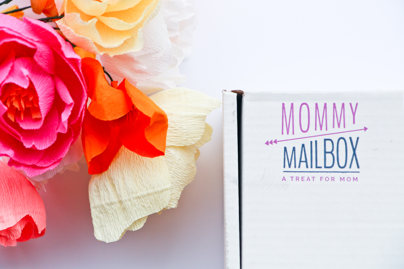 Sandy a la Mode | Mommy Mailbox