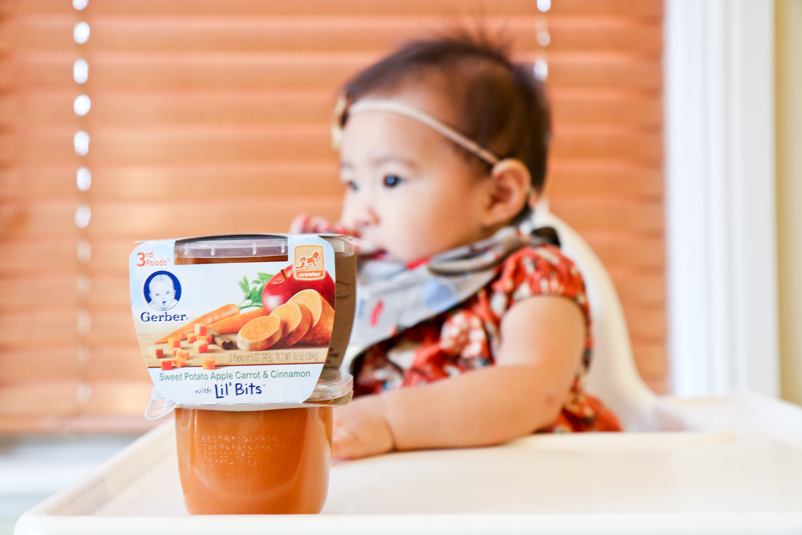 Sandy a la Mode | Mommy Blogger Gerber’s 3rd Foods® Lil Bits™ Recipes