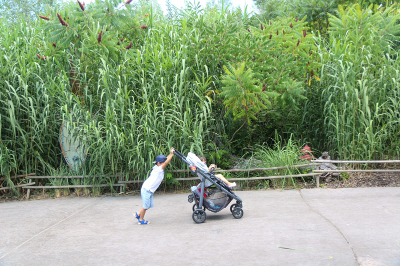 Brother pushing UPPAbaby CRUZ stroller