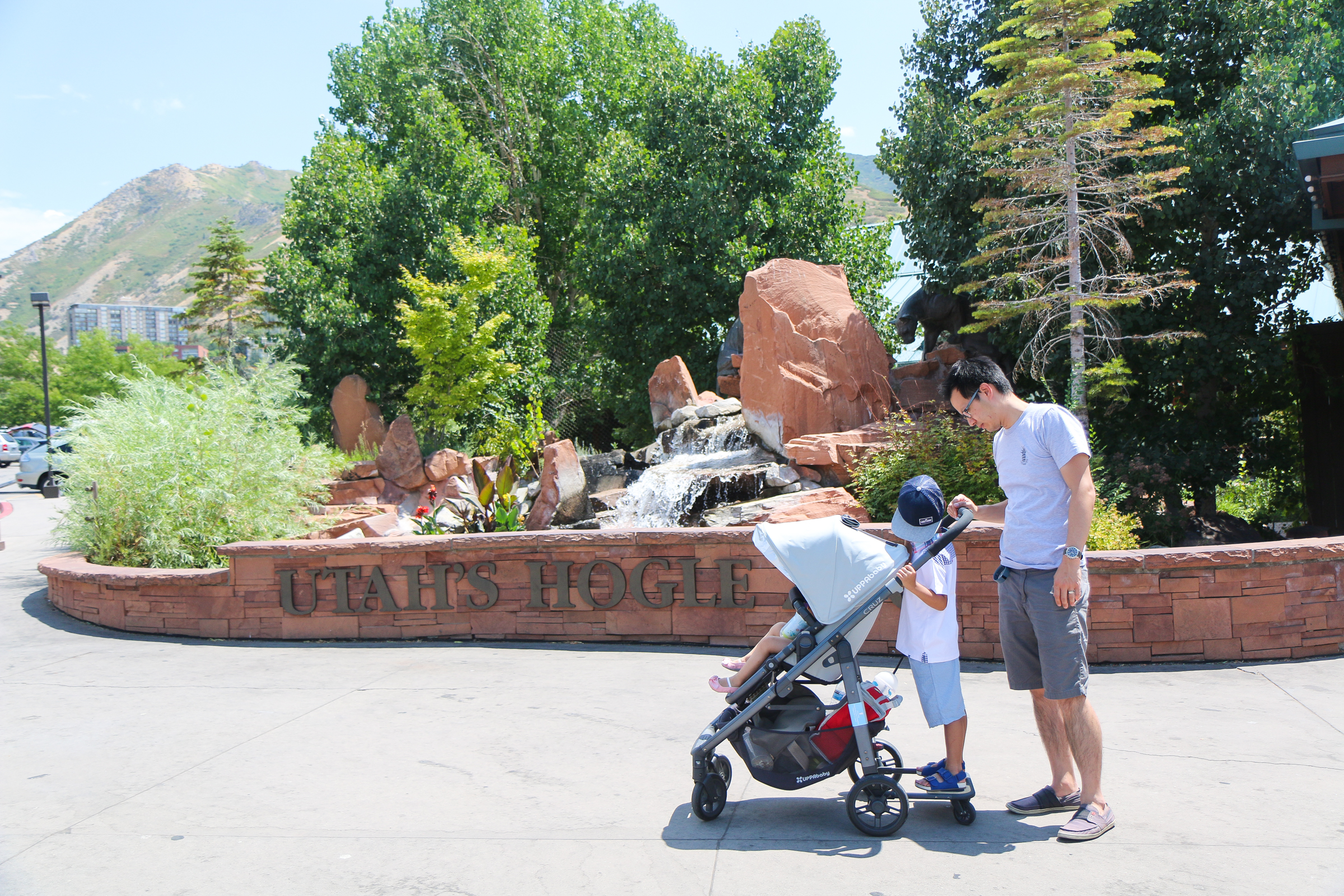 7 Tips For A Successful Zoo Trip With Little Kids