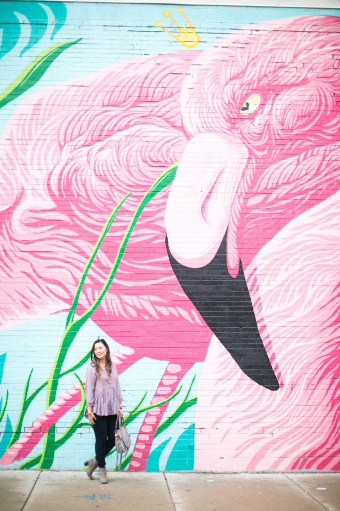 Chicago flamingo wall