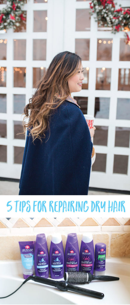 5 Tips For Repairing Dry Hair
