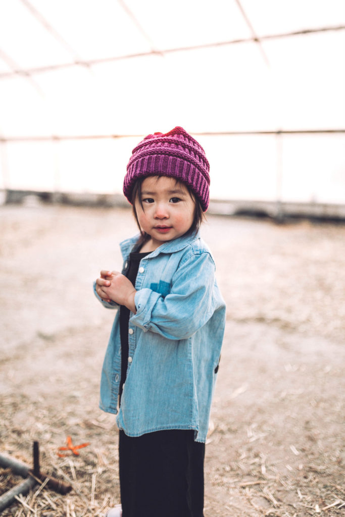 Little Toddler Outfit