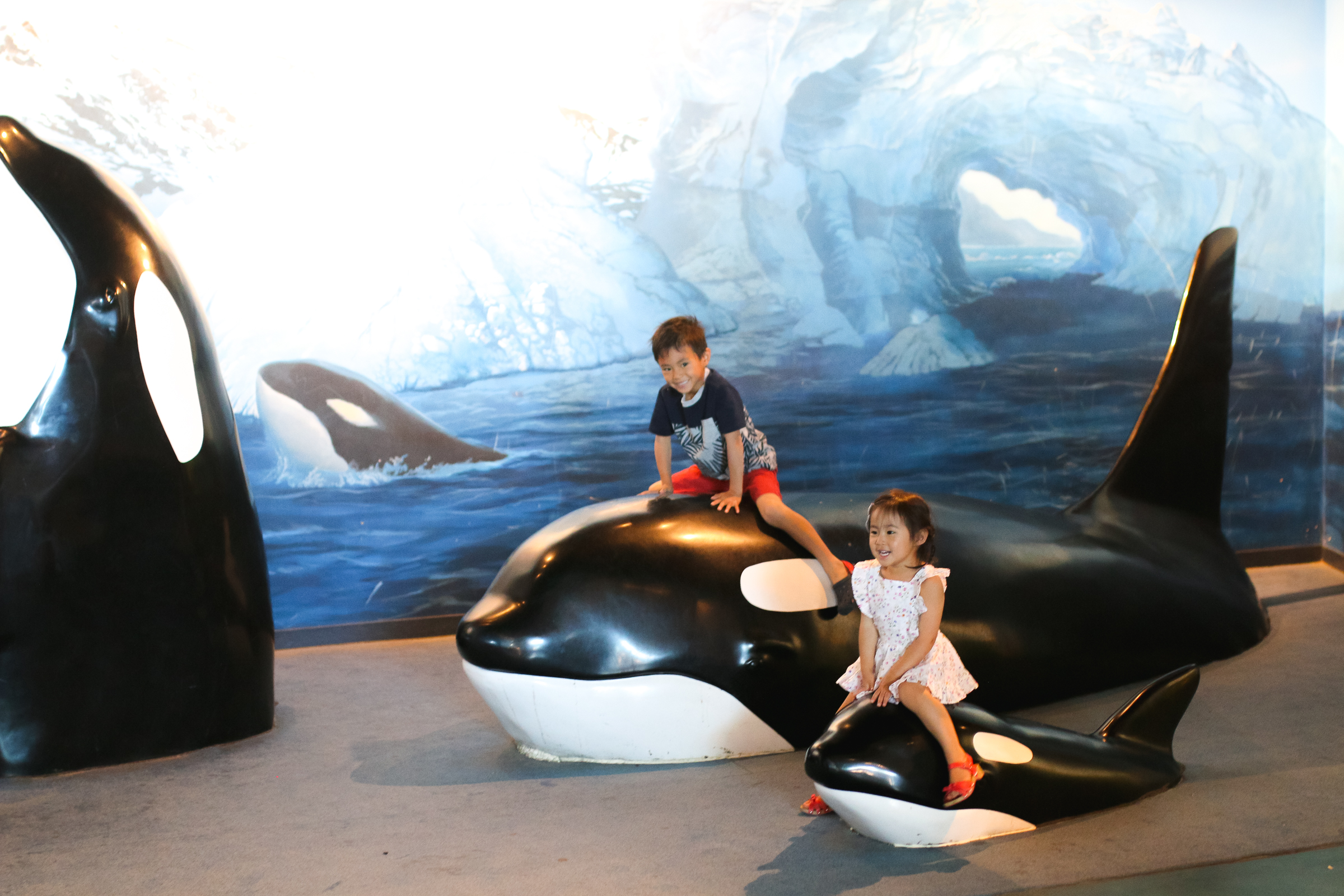 3 Tips to Visit the Loveland Living Planet Aquarium With Your Family by popular blogger Sandy A La Mode