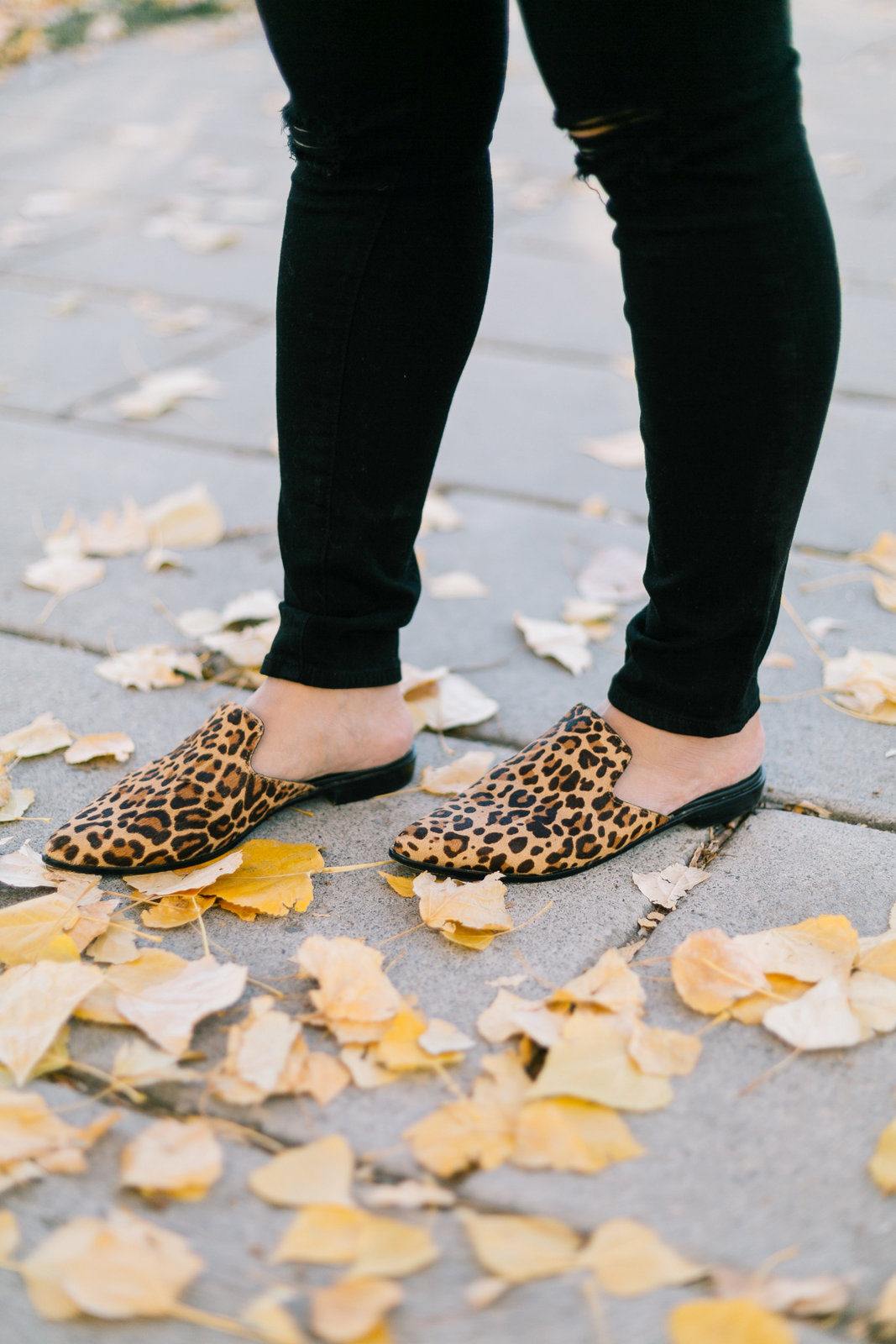 Pearl Embellished Sweater and Leopard Shoes by Utah fashion blogger Sandy A La Mode