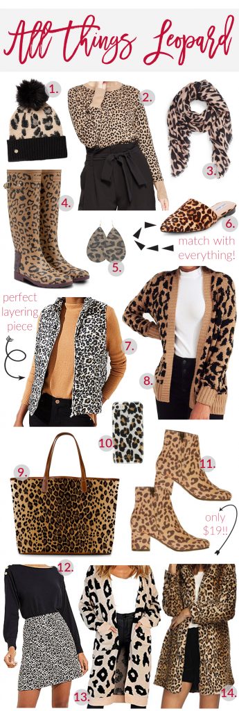 All Things Leopard - Sandy a la Mode